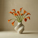Cala lily