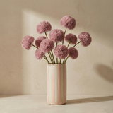 Spider chrysanthemum