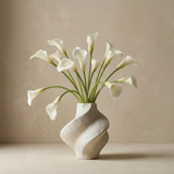 Cala lily