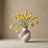Cala lily